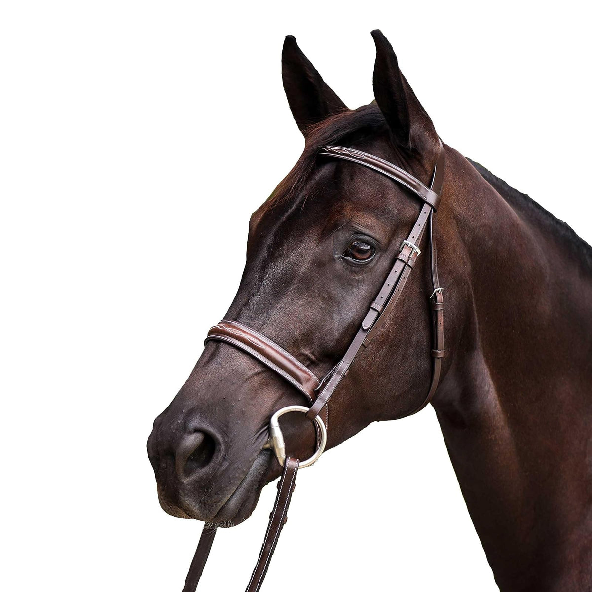 Equinavia Sporting Goods, Horse, Chocolate Brown