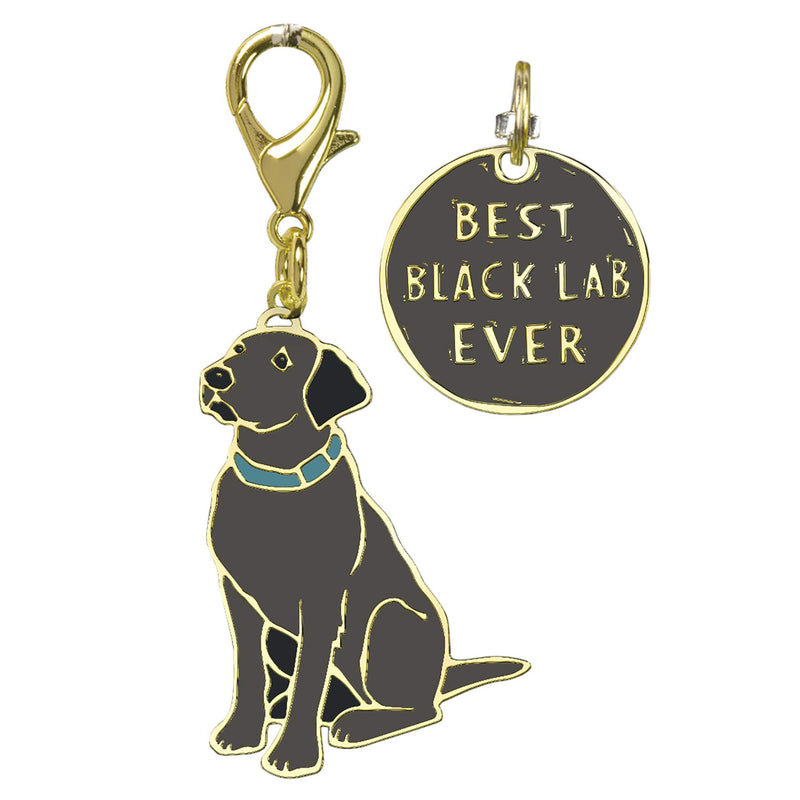 Charm Set - Best Black Lab Ever