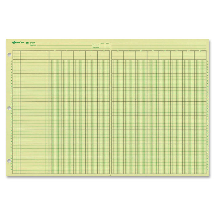 National Blank Book, 11" x 16.375", Green