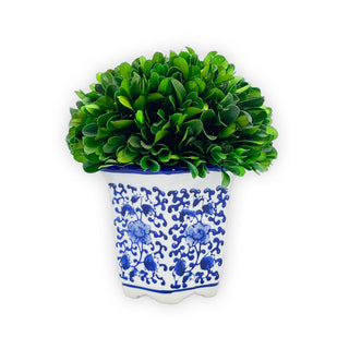 Galt International Artificial Plant, Small 7", Hexagon Pot