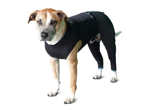 BENEFAB Therapeutic Comfort Suit for Dogs ‚Äî Lightweight Far-Infrared Jacket for Canines of All Ages ‚Äî Relaxing FIR Compression Suit Soothes Muscles, Joints, and Pain (Large)