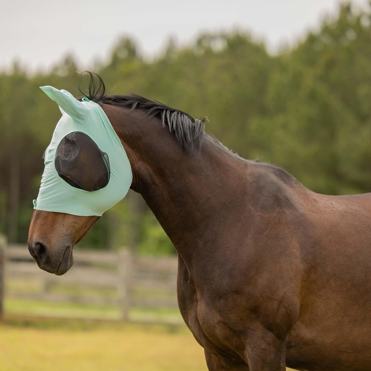 Equinavia Pet Pest Control, Cob, Misty Jade