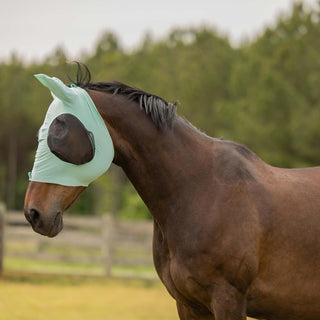 Equinavia Pet Pest Control, Cob, Misty Jade