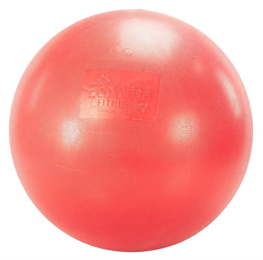 AGM Group Fitness Ball in Cherry