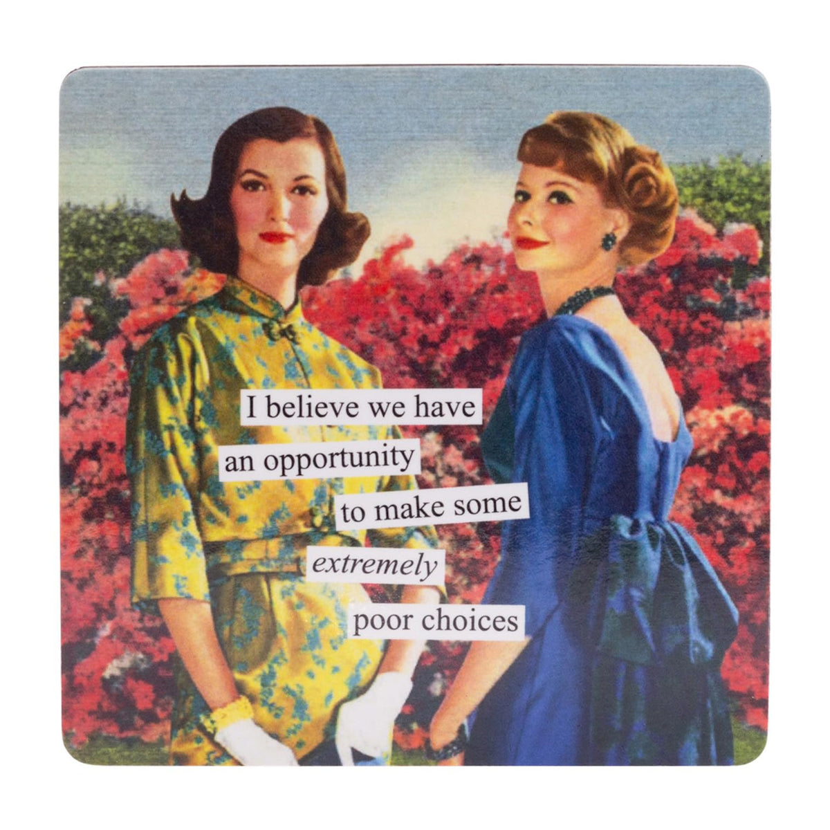 Anne Taintor Decorative Magnet