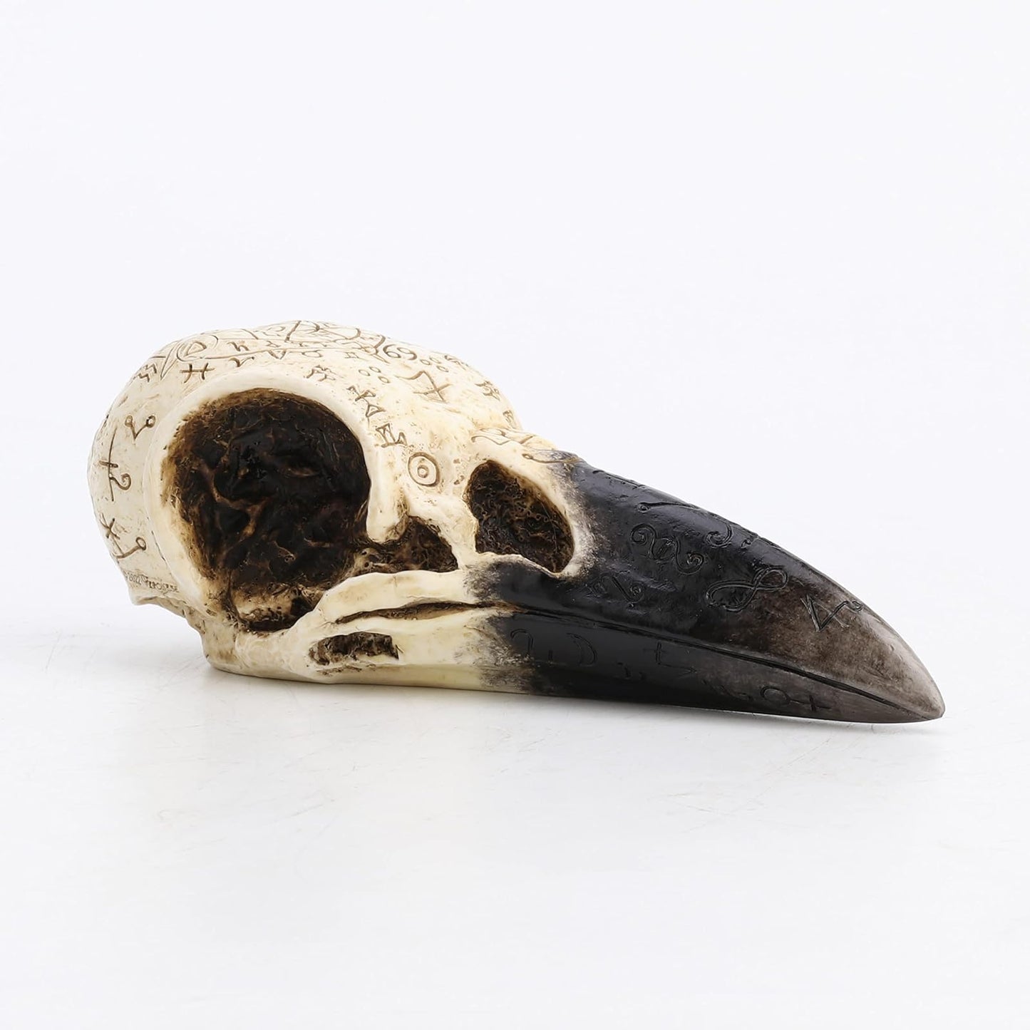 Unicorn Studio Veronese Design 6 1/4 Inch Occult Ritual Raven Skull Wtichcraft Home Decor Resin Animal Sculpture