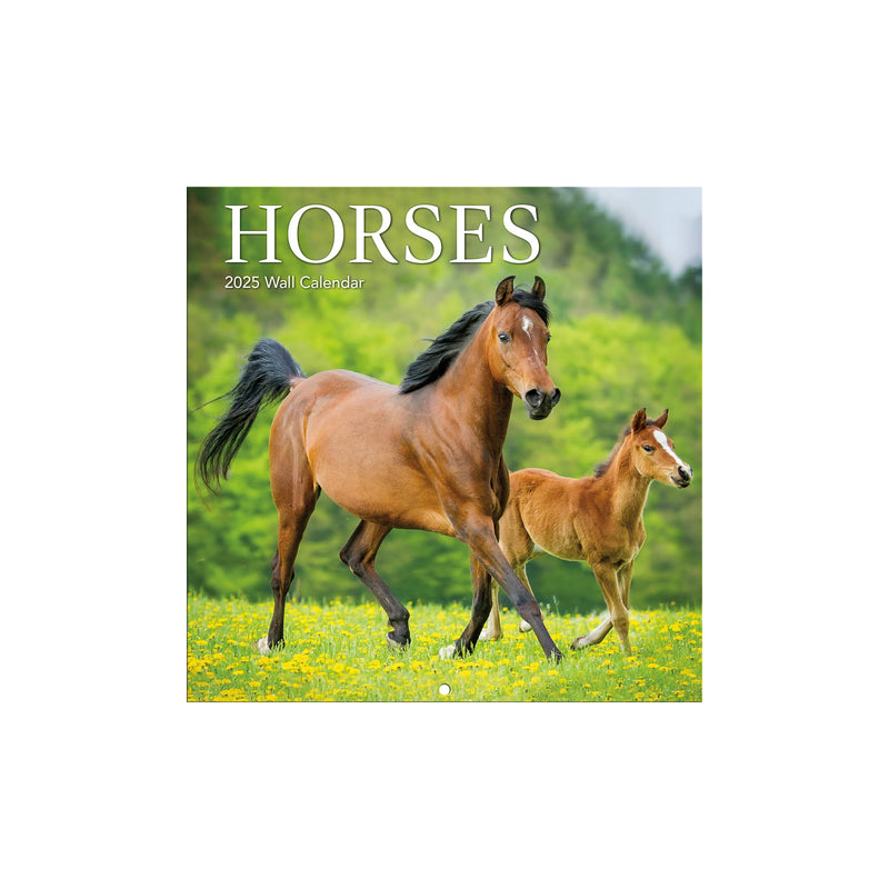 TURNER PHOTOGRAPHIC Horses Photo Mini Wall Calendar (25998950006)