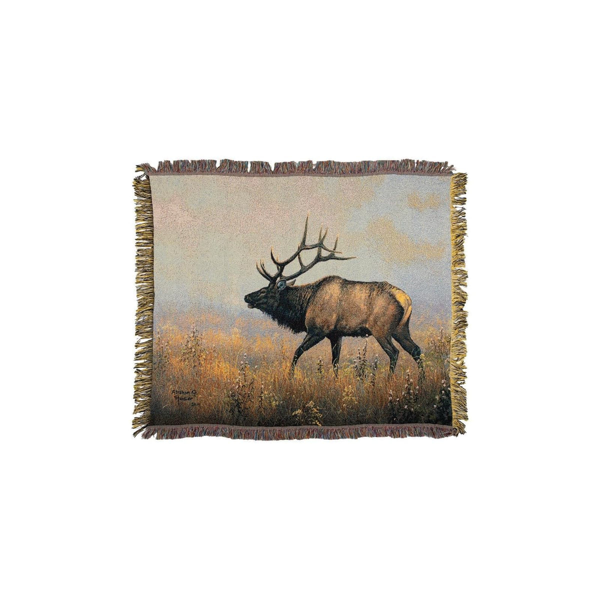 MWW Wall Art, Multicolor
