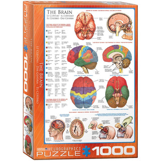 EuroGraphics Puzzles, 1000, Multi Color