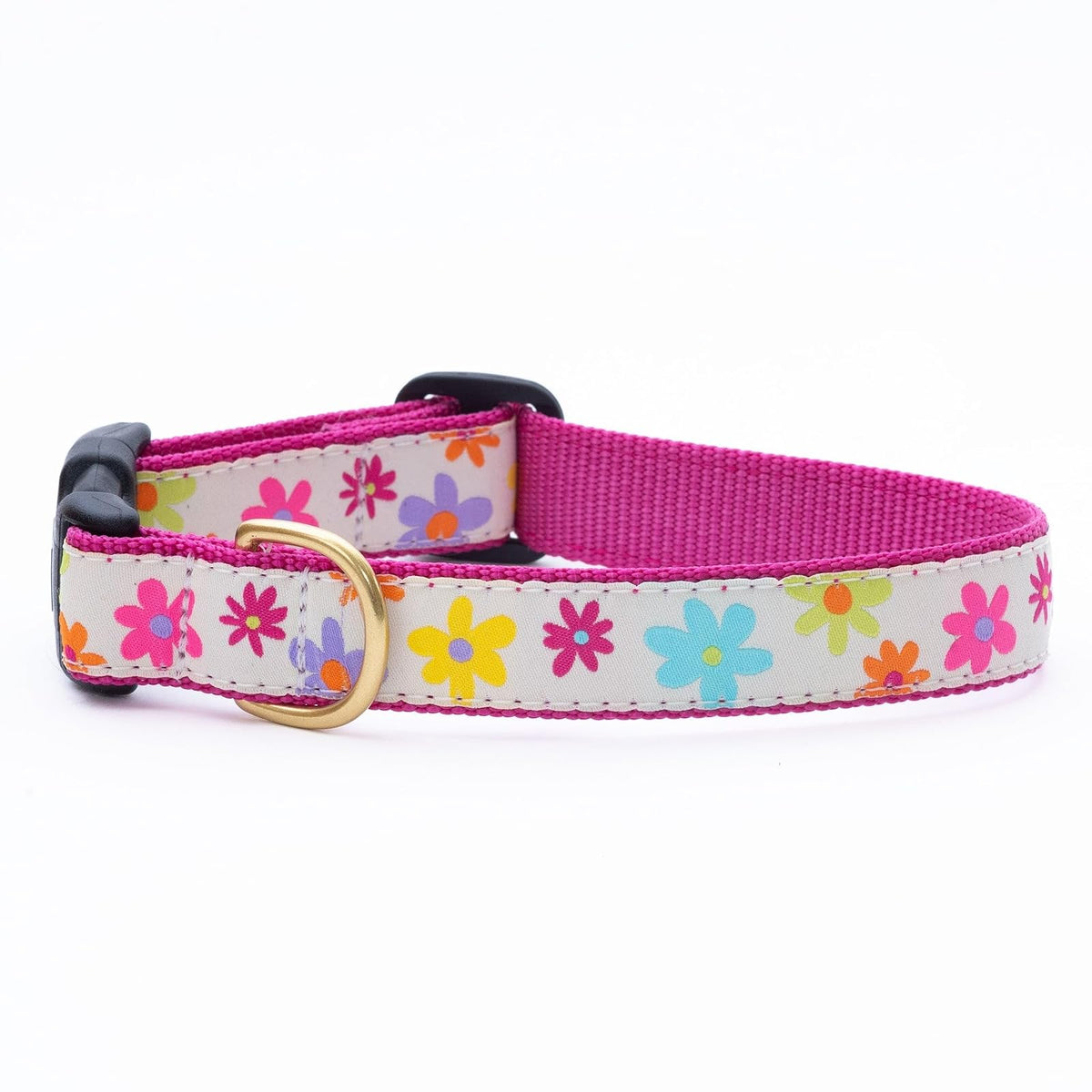 Up Country Animal Collar