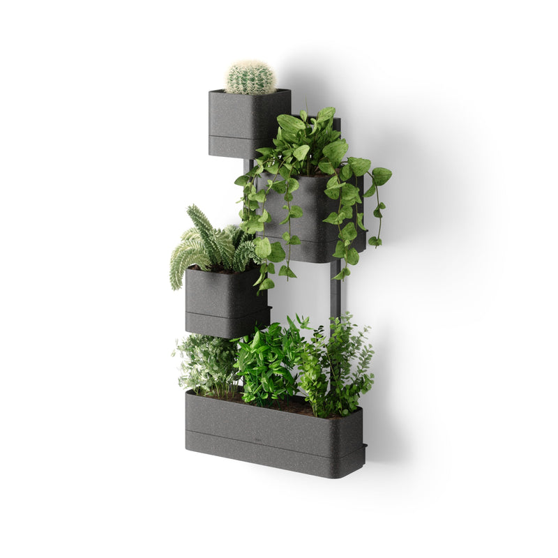 Umbra Cubiko Wall Planter with 4 Lightweight and Durable Pots (Black)