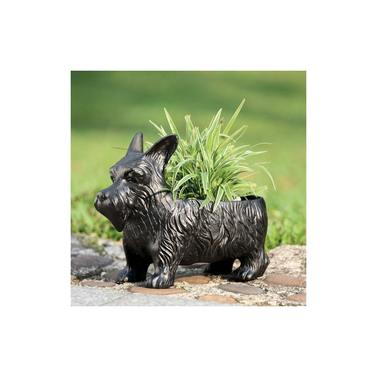 SPI Planter, Black