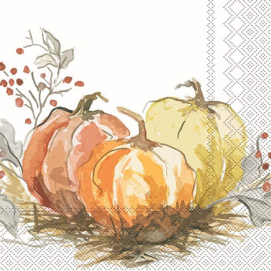 Boston International IHR 3-Ply Paper Napkins, 20-Count Lunch, Painted Pumpkin