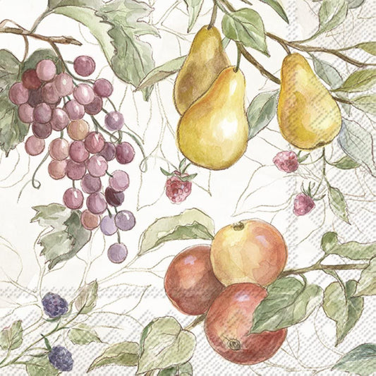 Boston International IHR Floral Fall Autumn Thanksgiving 3-Ply Paper Napkins, 20-Count Cocktail Size, Country Fruits- Cream