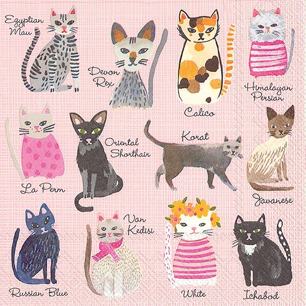 Boston International IHR 3-Ply Paper Napkins, Cocktail, Cool Cats