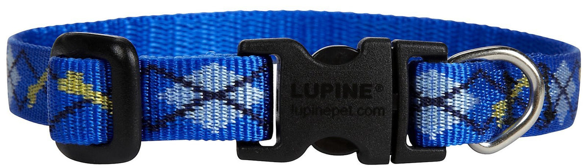 Lupine Pet Originals 1/2" Dapper Dog 10-16" Adjustable Collar for Small Dogs