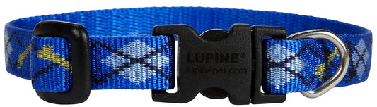 Lupine Pet Originals 1/2" Dapper Dog 10-16" Adjustable Collar for Small Dogs