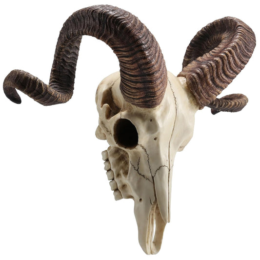 Unicorn Studio Veronese Design 10 5/8 Inch Corsican Ram Skull AnimalHorns Resin Wall Sculpture