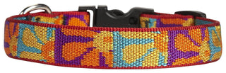 LupinePet Animal Collar, 3/4"W; 13-22" Neck, Crazy Daisy