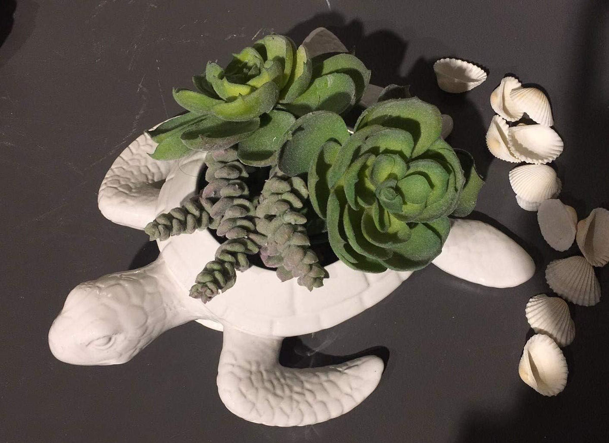 Comfy Hour 9" Ceramic Turtle Succulent Planter Flower Bud Pot Decorative Vase Small Plant Container, White