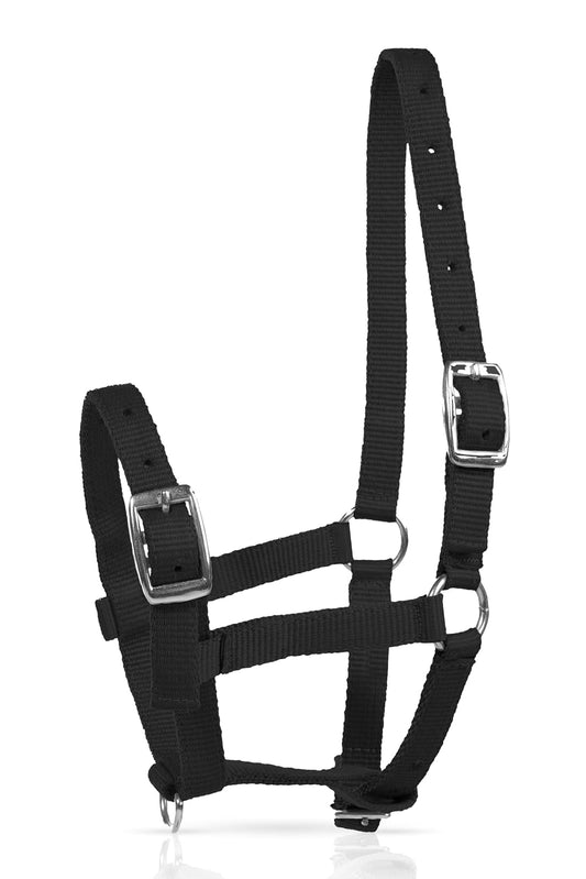 HORZE Foal Halter - Black - Foal