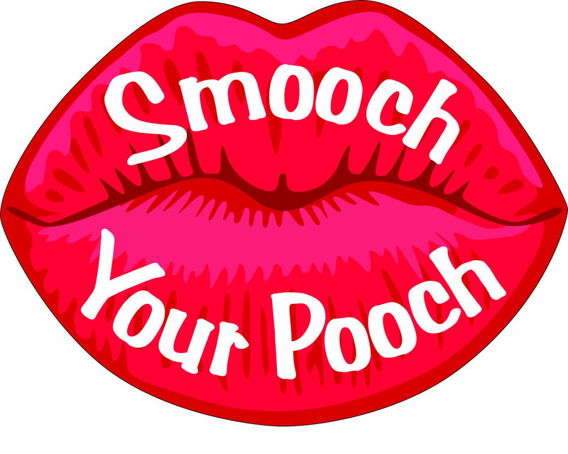 Imagine This 4-1/2-Inch by 6-Inch Car Magnet Lips, Smooch Your Pooch