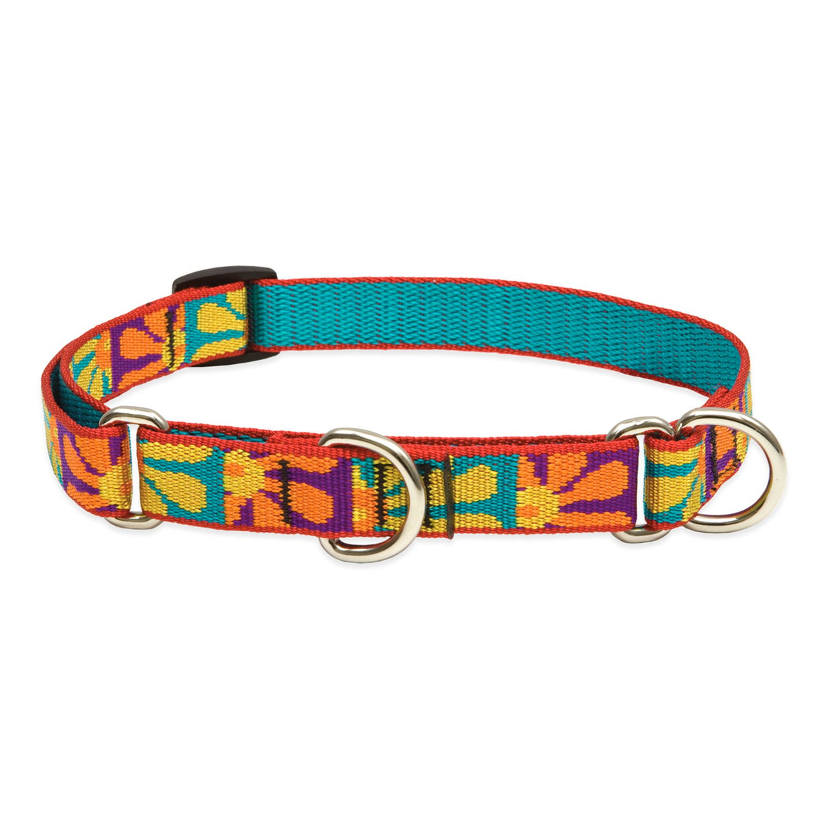 LupinePet Animal Collar, 3/4"W; 10-14" Neck, Crazy Daisy