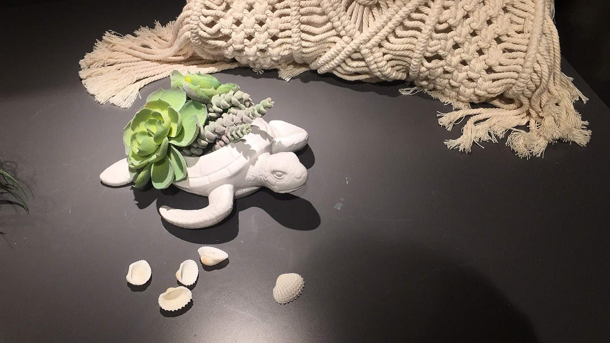Comfy Hour 9" Ceramic Turtle Succulent Planter Flower Bud Pot Decorative Vase Small Plant Container, White