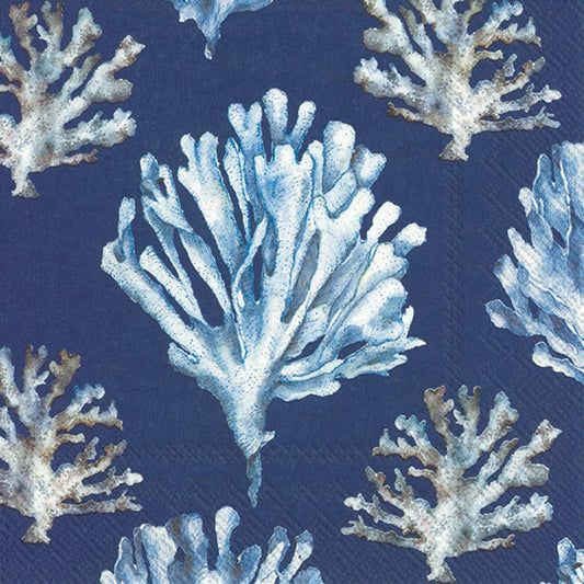 IHR Ideal Home Range Disposable Napkin, 5 x 5-Inches, Coral Blue