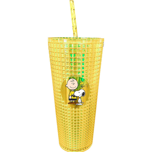 Spoontiques Drinking Cup, 20 Ounces, Charlie Brown & Snoopy