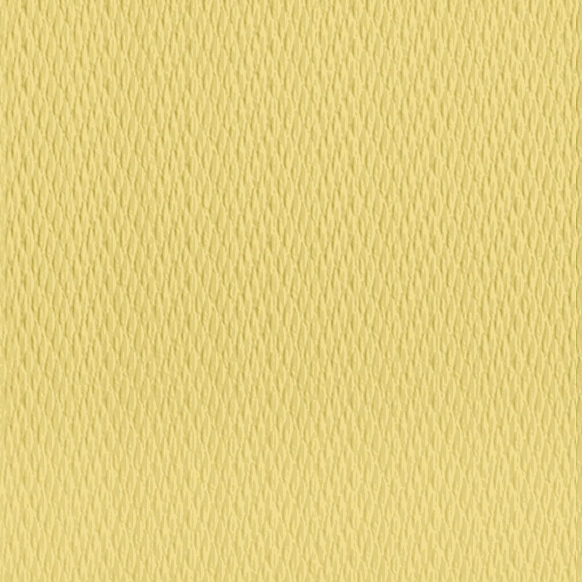 Boston International Disposable Napkin