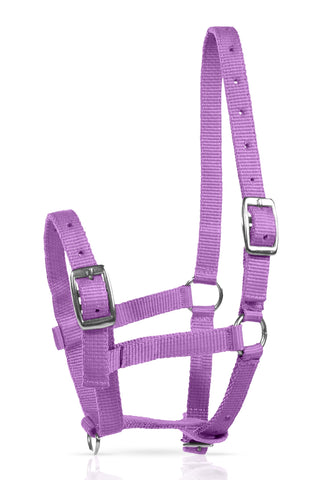 HORZE Sporting Goods, Foal, Purple