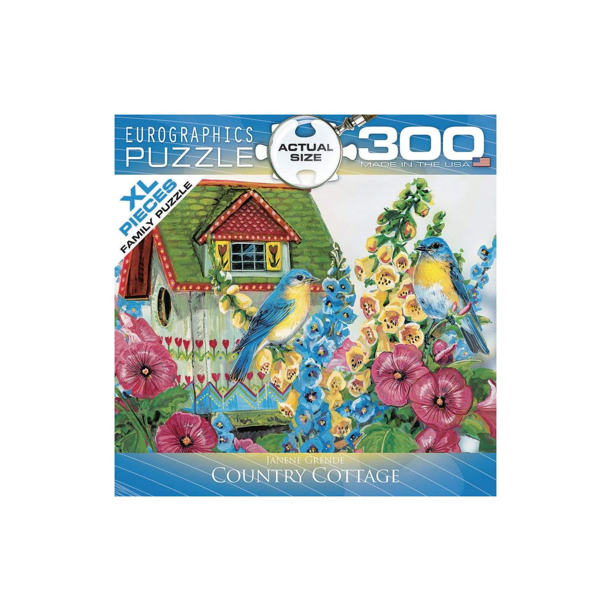 EuroGraphics Puzzles, 300 pieces, Multicolor