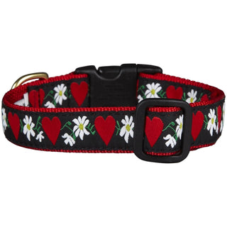Up Country Animal Collar, xs, Hearts & Flowers