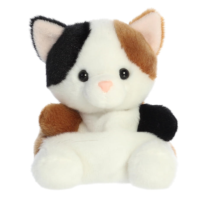 Aurora Toys And Games, Small, Multicolor