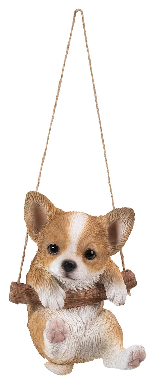 Hi Line Hanging Chihuahua Puppy
