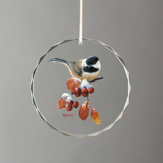 Wild Wings Hanging Ornament, Multi Color