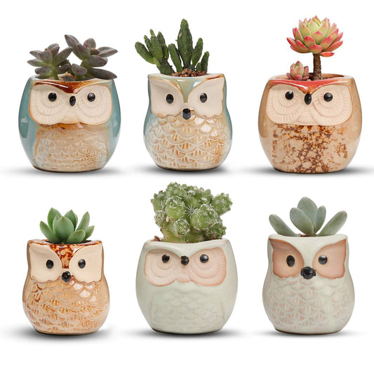 T4U Small Ceramic Flowing Glaze Succulent Planter Pot, Cute Owl Bonsai Pot for Decor Desktop Windowsill Bookshelf, on Christmas and Birthday, Pack of 6(Excluding Plants)