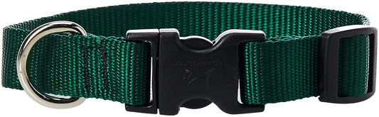 Lupine Pet Basics 3/4" Green 9-14" Adjustable Collar for Small Dogs
