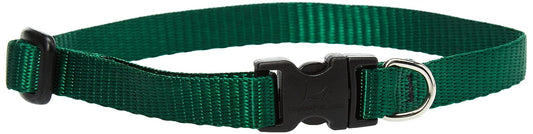 Lupine Pet Basics 1/2" Green 10-16" Adjustable Collar for Small Dogs