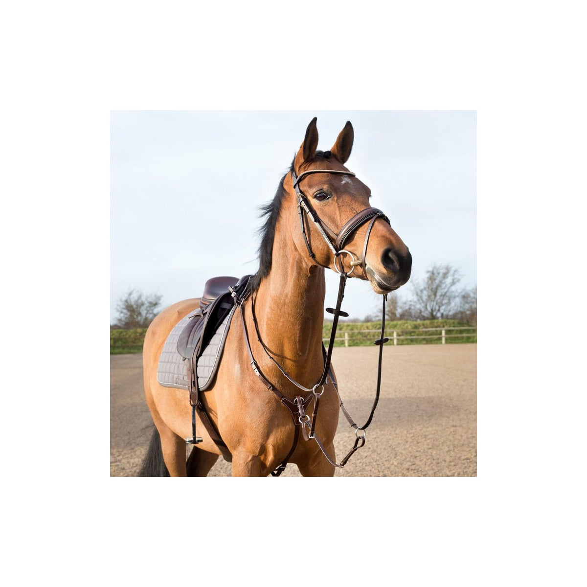 HORZE Animal Harness, P, Light Brown
