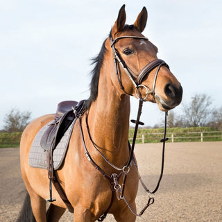 HORZE Animal Harness, Horse, Tan