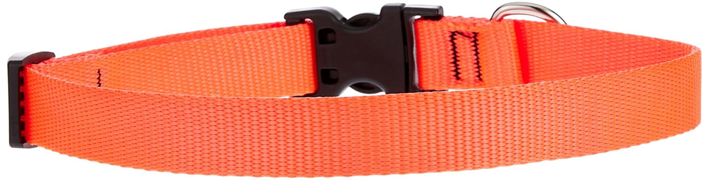 Lupine Pet Basics 3/4" Blaze Orange 13-22" Adjustable Collar for Medium and Larger Dogs