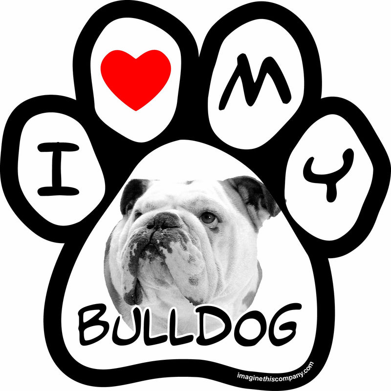 Imagine This 5-1/2-Inch by 5-1/2-Inch Car Magnet Picture Paw, Bulldog