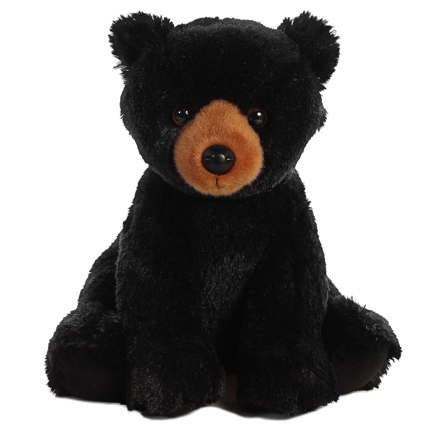 Aurora - Black Bear 14