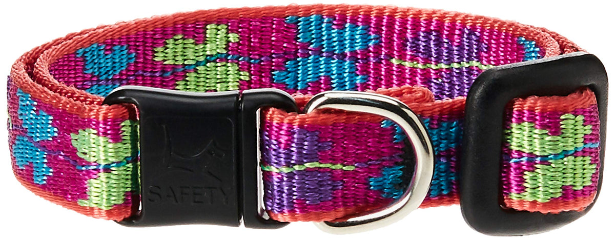 LupinePet Animal Collar