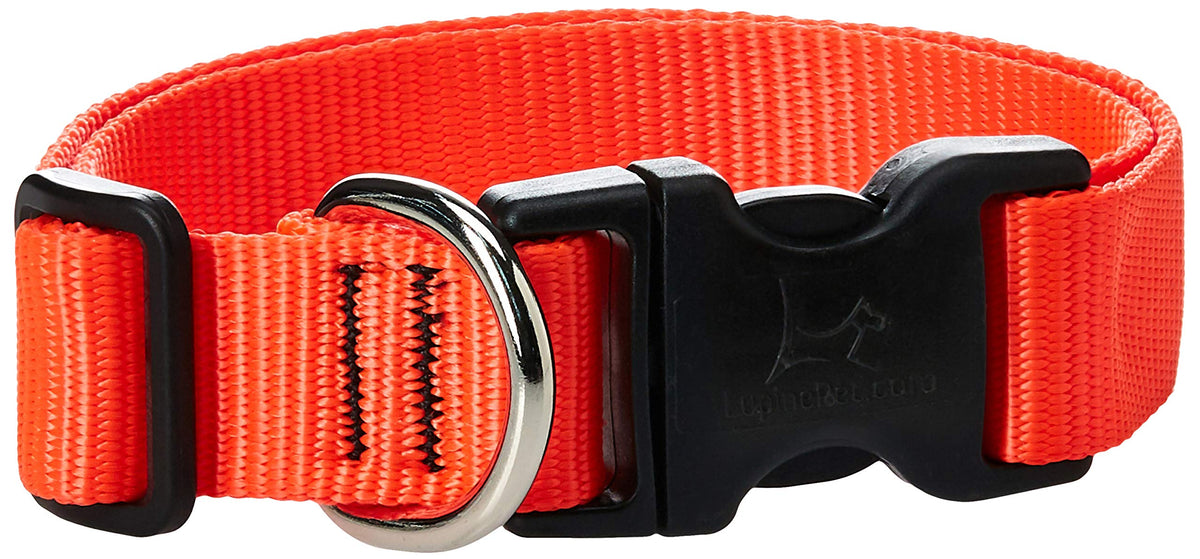 LupinePet Animal Collar