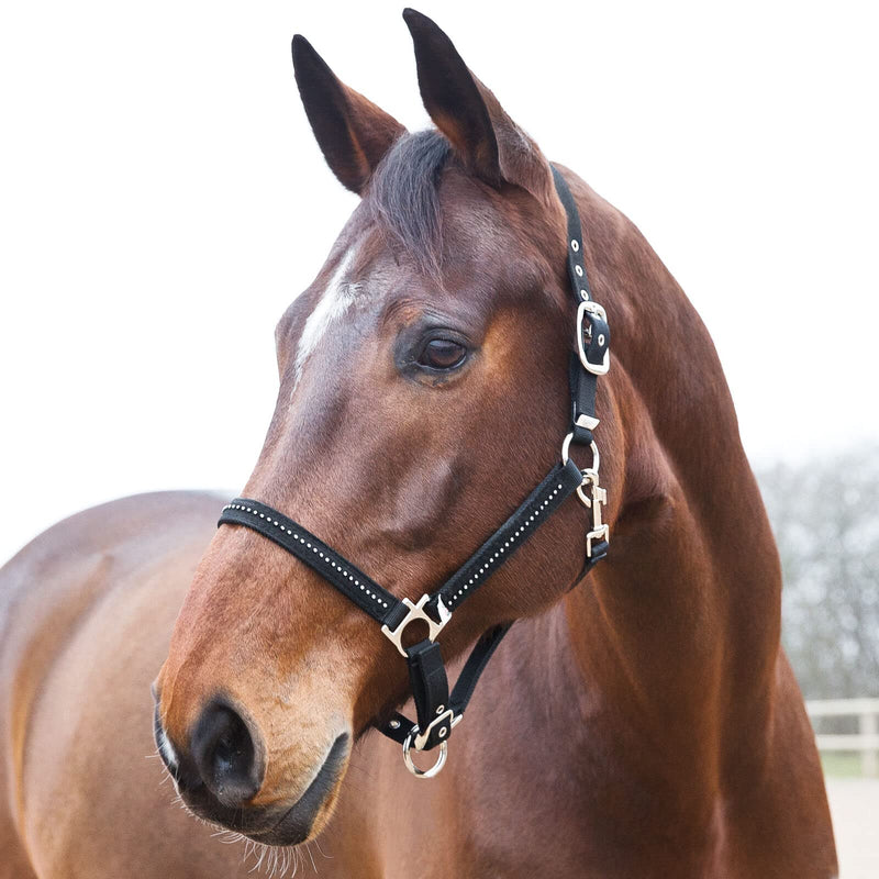 HORZE Diamond Halter - Black - Horse