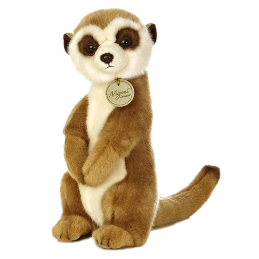 Aurora Meerkat