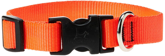 Lupine Pet Basics 3/4" Blaze Orange 15-25" Adjustable Collar for Large Dogs